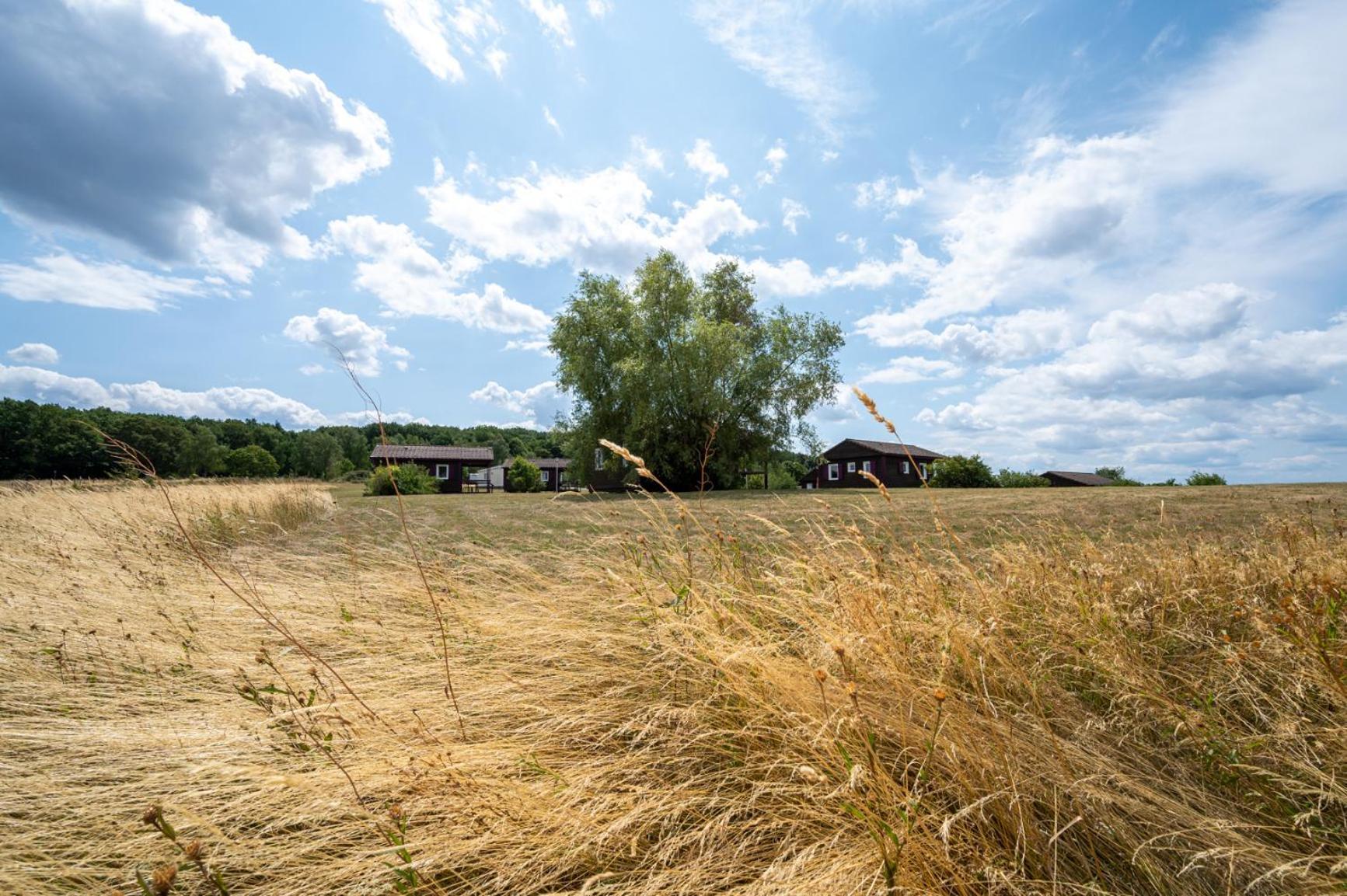 Camping Les Vosges Du Nord Oberbronn Eksteriør billede
